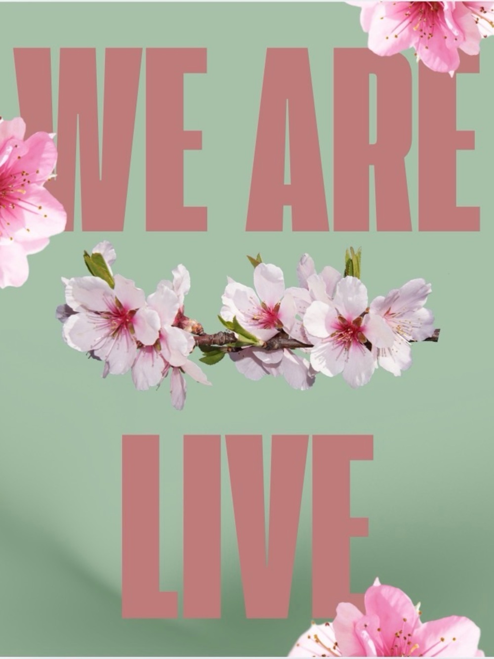 I’m back girlies!!!! New shop…. New inventory…. Great deals!!!!